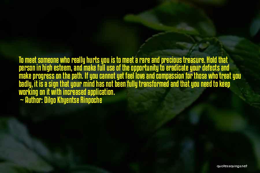 Been Hurt In Love Quotes By Dilgo Khyentse Rinpoche