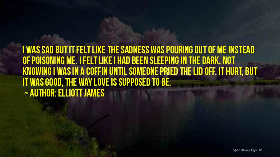 Been Hurt In Love Quotes By Elliott James