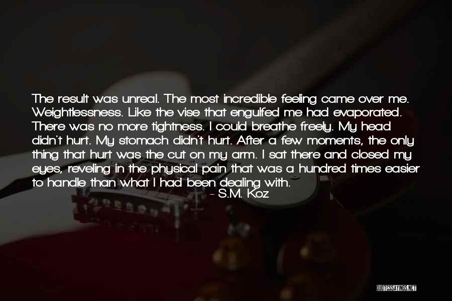 Been Hurt Too Many Times Quotes By S.M. Koz Been Hurt Too Many Times Quotes By S.M. Koz