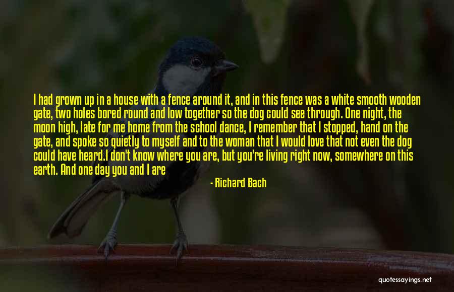 Been In Love Quotes By Richard Bach