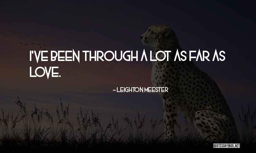 Been Through A Lot Quotes By Leighton Meester