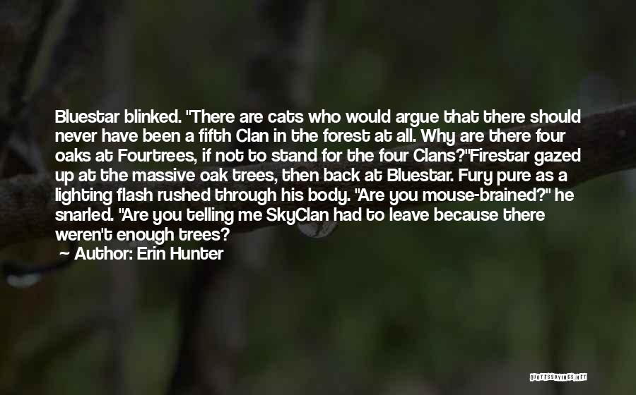 Been Through Enough Quotes By Erin Hunter