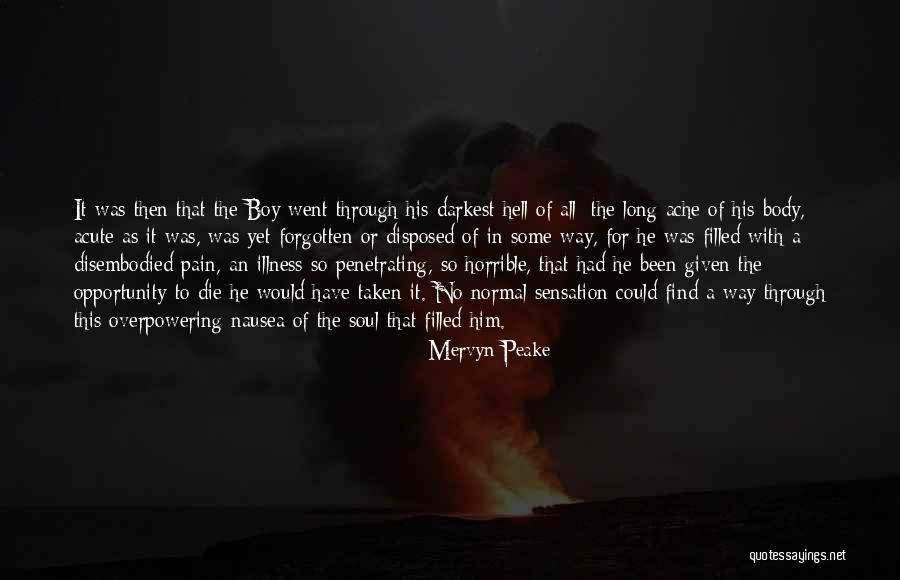 Been Through Hell Quotes By Mervyn Peake