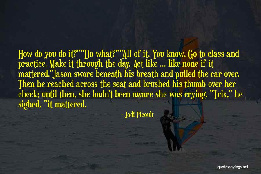Been Through It All Quotes By Jodi Picoult Been Through It All Quotes By Jodi Picoult