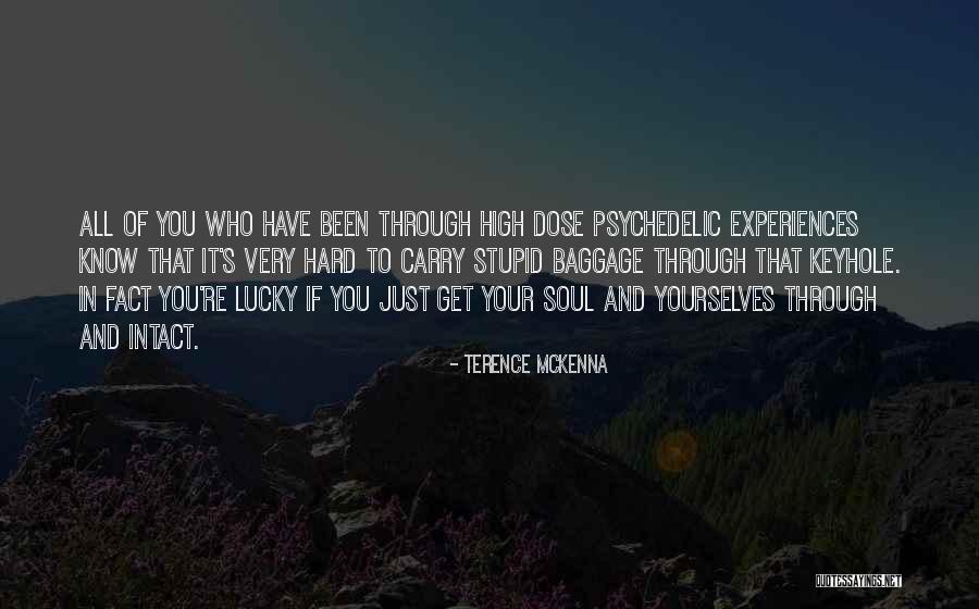 Been Through It All Quotes By Terence McKenna Been Through It All Quotes By Terence McKenna