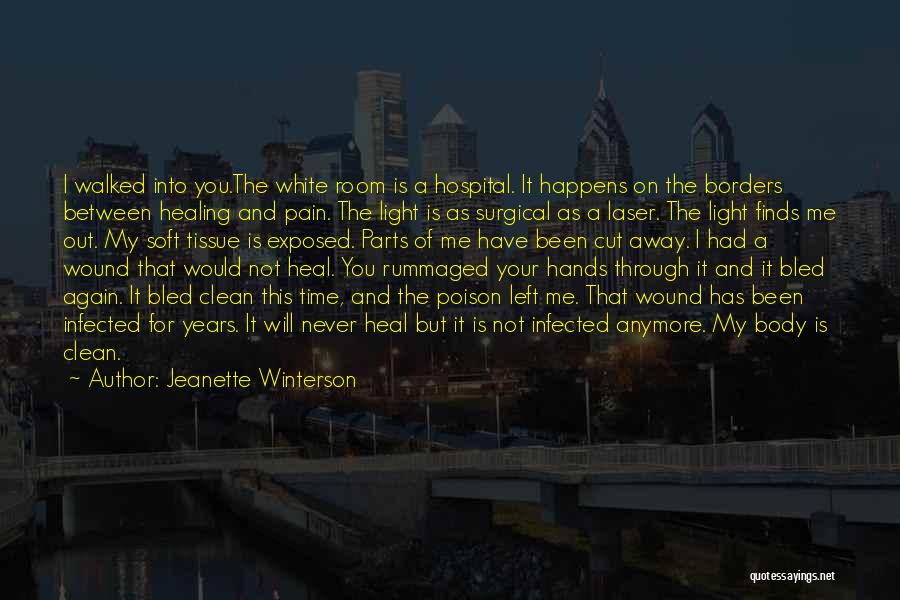 Been Through Pain Quotes By Jeanette Winterson