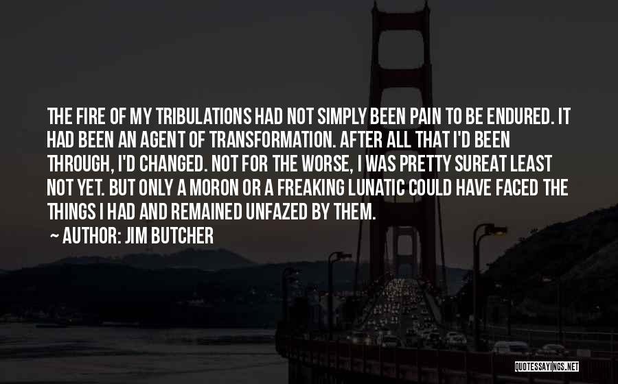 Been Through Pain Quotes By Jim Butcher