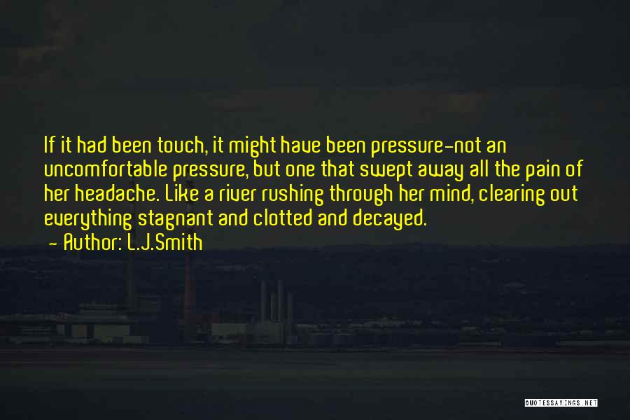 Been Through Pain Quotes By L.J.Smith