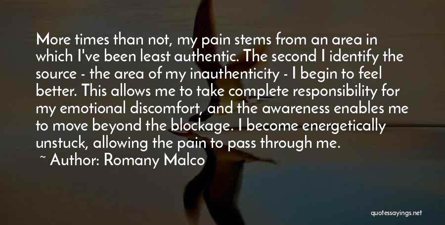 Been Through Pain Quotes By Romany Malco