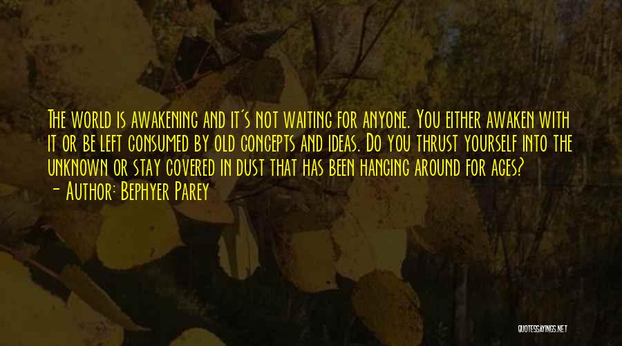 Been Waiting For You Quotes By Bephyer Parey