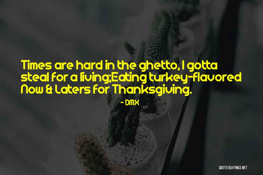 Beenperjury Quotes By DMX Beenperjury Quotes By DMX