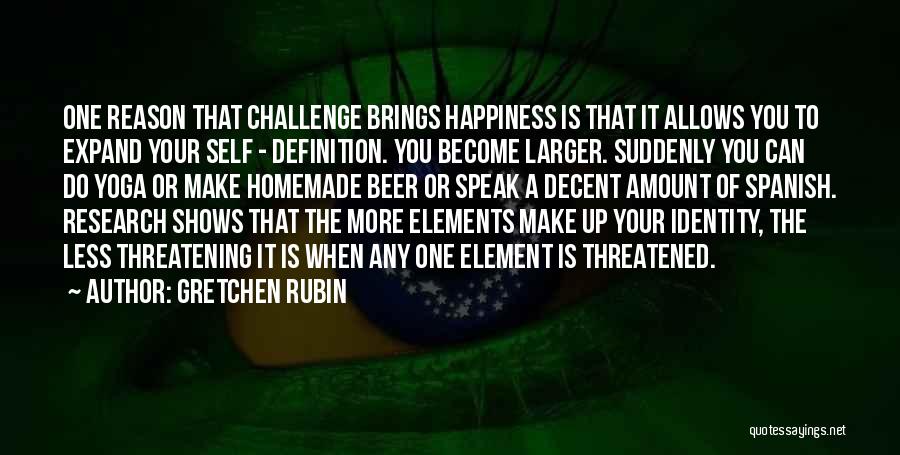 Beer And Happiness Quotes By Gretchen Rubin