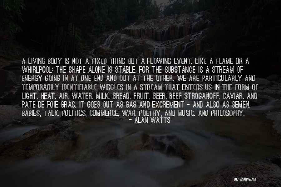 Beer And Music Quotes By Alan Watts