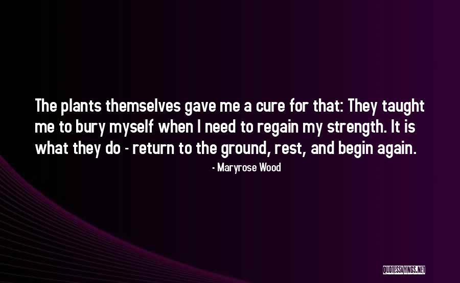 Beer Brewer Quotes By Maryrose Wood Beer Brewer Quotes By Maryrose Wood