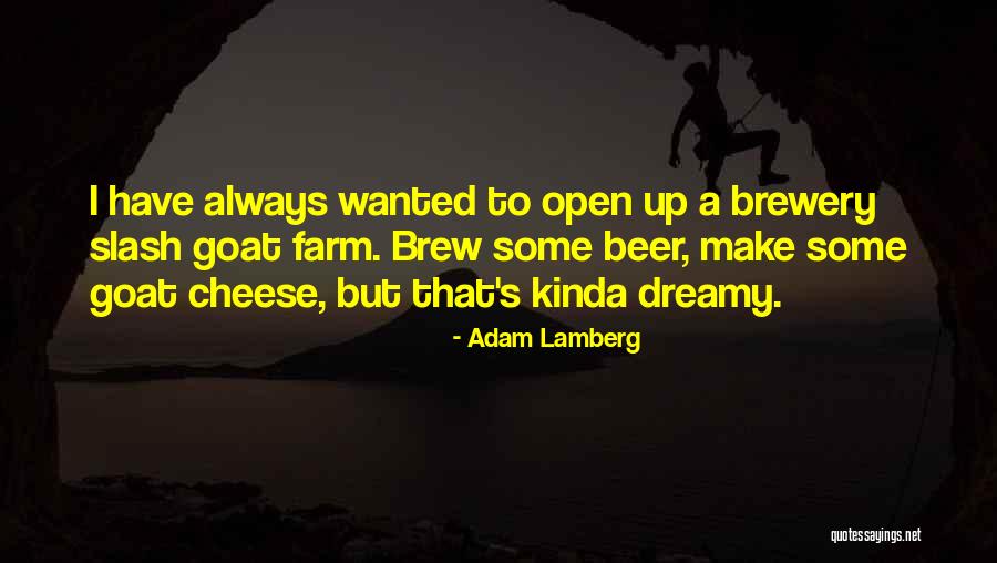 Beer Quotes By Adam Lamberg