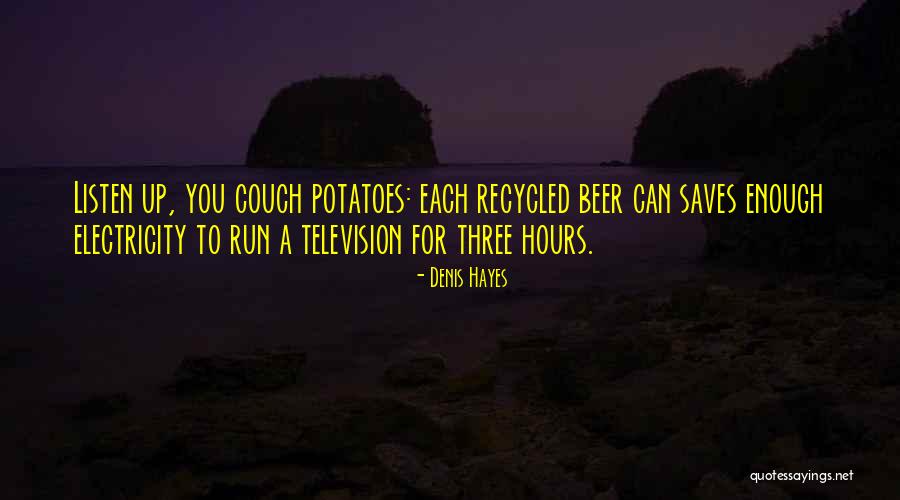 Beer Quotes By Denis Hayes