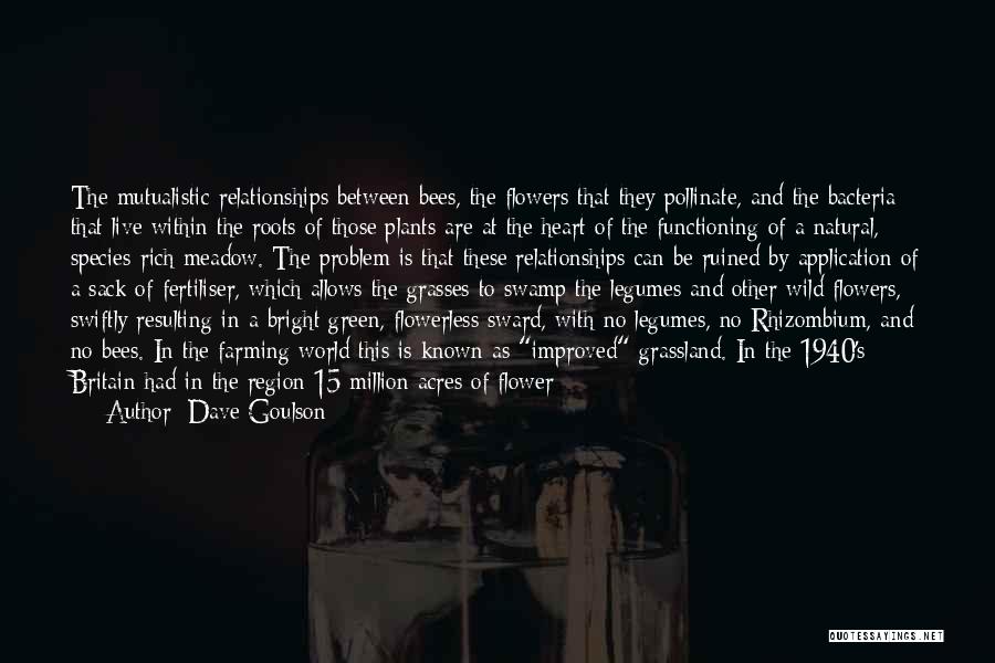 Bees And Flowers Quotes By Dave Goulson