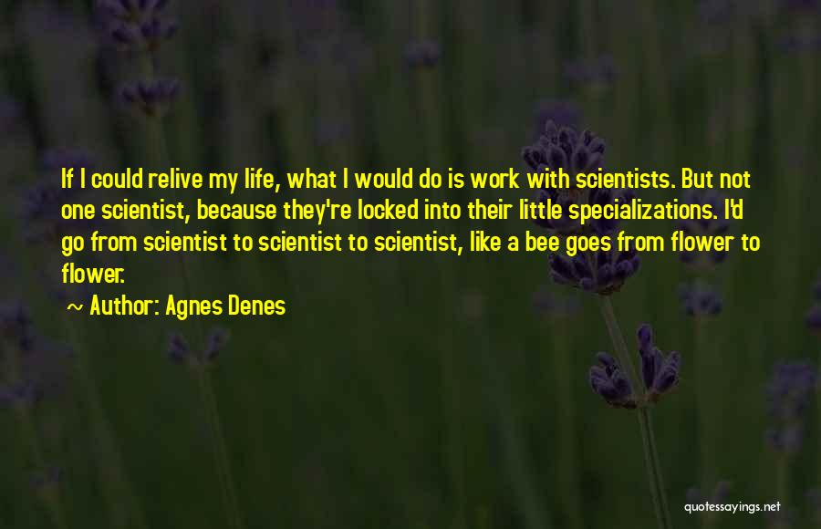 Bees Life Quotes By Agnes Denes