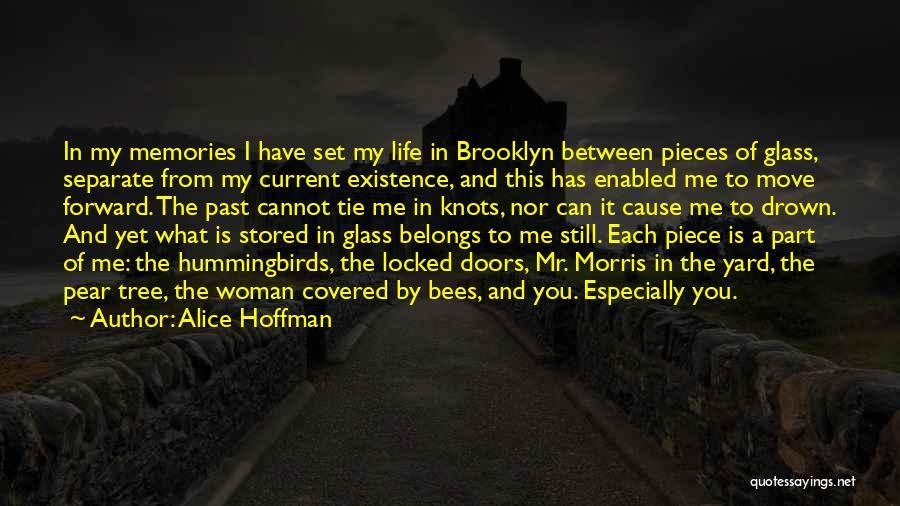 Bees Life Quotes By Alice Hoffman