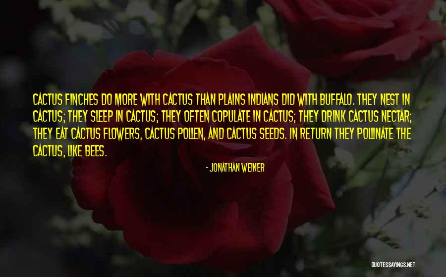 Bees Nest Quotes By Jonathan Weiner Bees Nest Quotes By Jonathan Weiner