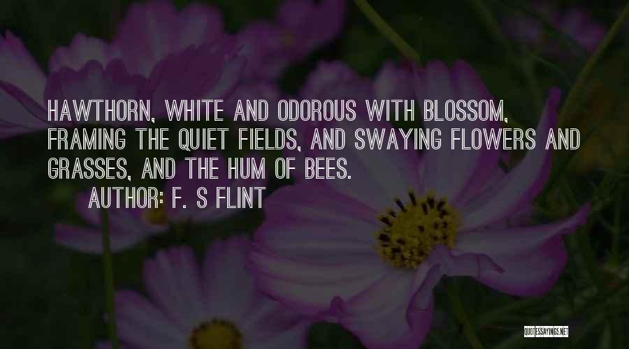 Bees Quotes By F. S Flint