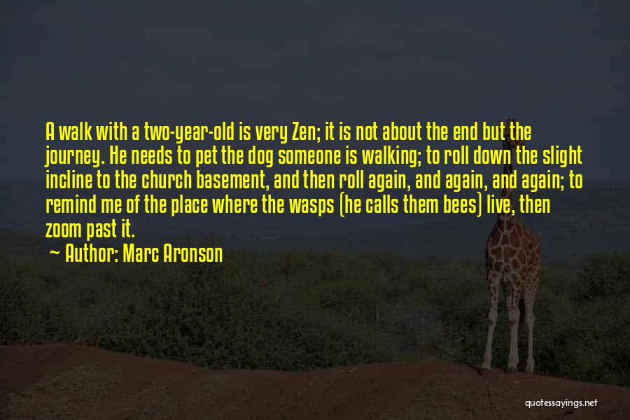 Bees Quotes By Marc Aronson