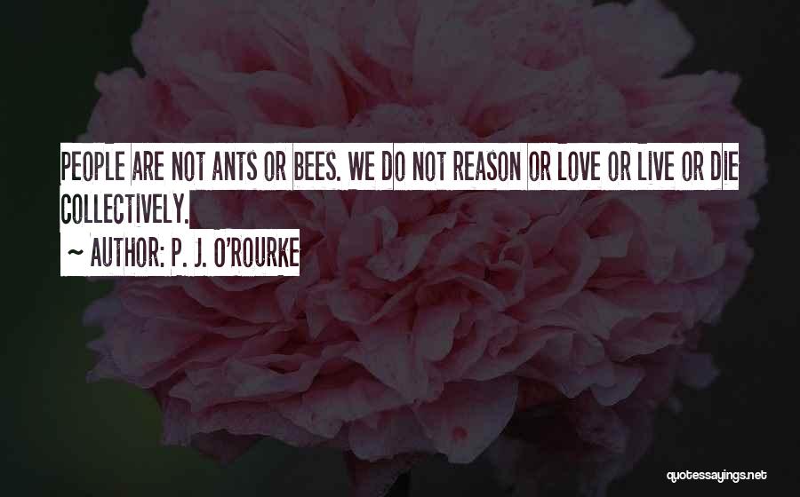 Bees Quotes By P. J. O'Rourke