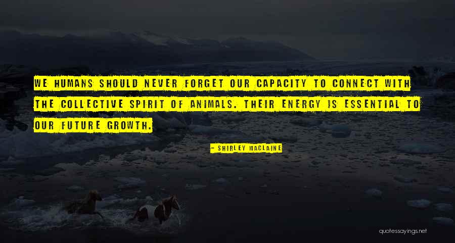 Beesley International Quotes By Shirley Maclaine Beesley International Quotes By Shirley Maclaine