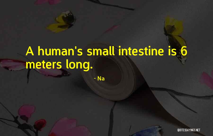 Beetham House Quotes By Na Beetham House Quotes By Na