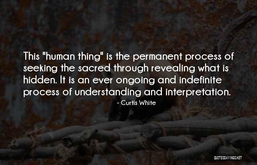 Beethe Arabians Quotes By Curtis White Beethe Arabians Quotes By Curtis White