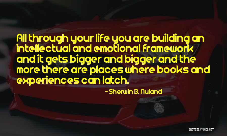 Beethe Arabians Quotes By Sherwin B. Nuland Beethe Arabians Quotes By Sherwin B. Nuland