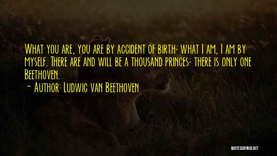 Beethoven Quotes By Ludwig Van Beethoven