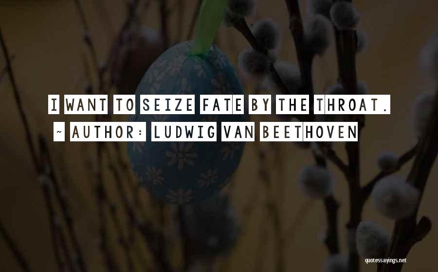 Beethoven Quotes By Ludwig Van Beethoven