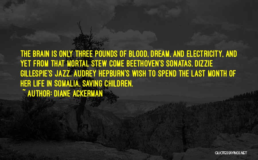 Beethoven's Quotes By Diane Ackerman