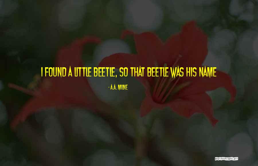 Beetle Quotes By A.A. Milne Beetle Quotes By A.A. Milne