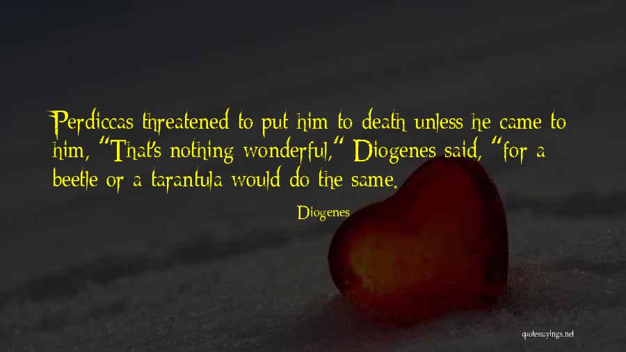 Beetle Quotes By Diogenes Beetle Quotes By Diogenes