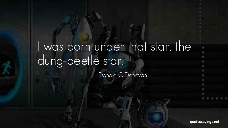 Beetle Quotes By Donald O'Donovan Beetle Quotes By Donald O'Donovan