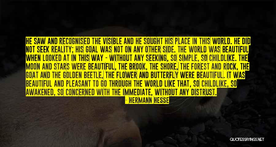 Beetle Quotes By Hermann Hesse Beetle Quotes By Hermann Hesse