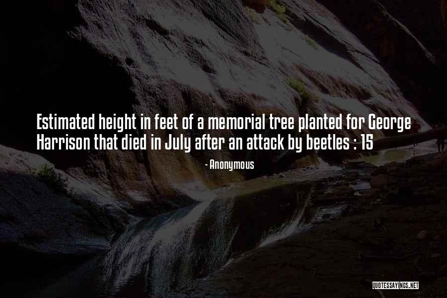 Beetles Quotes By Anonymous Beetles Quotes By Anonymous