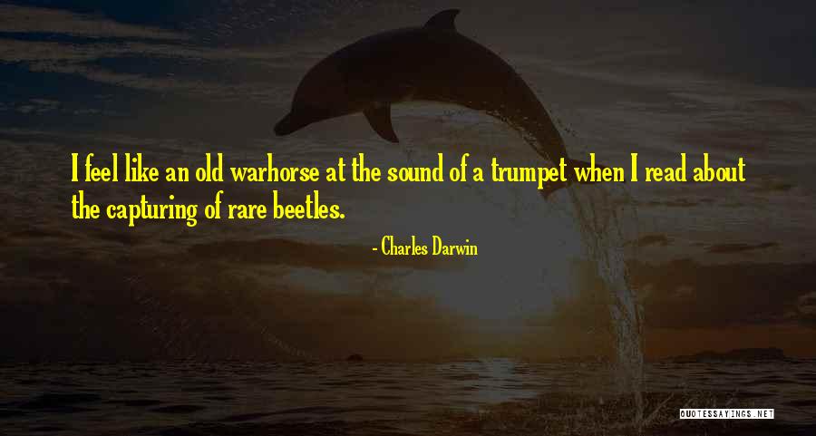 Beetles Quotes By Charles Darwin Beetles Quotes By Charles Darwin