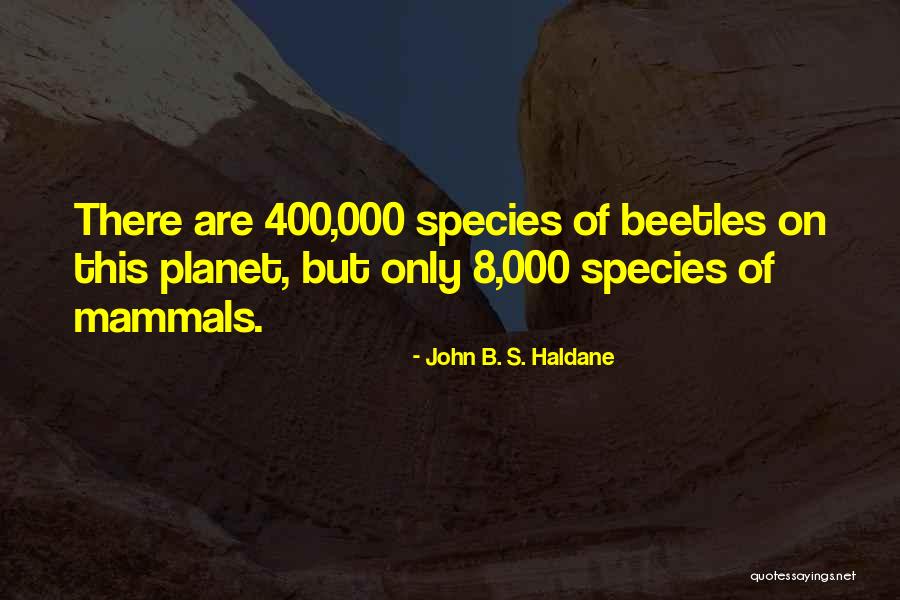 Beetles Quotes By John B. S. Haldane Beetles Quotes By John B. S. Haldane