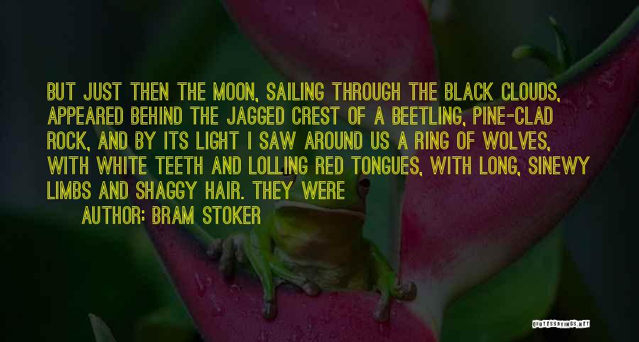 Beetling Quotes By Bram Stoker