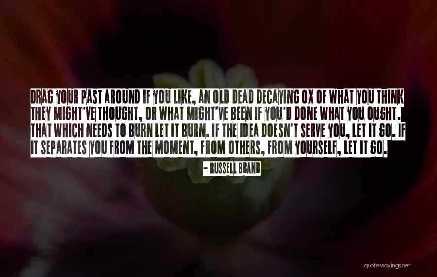 Beezers Quotes By Russell Brand Beezers Quotes By Russell Brand