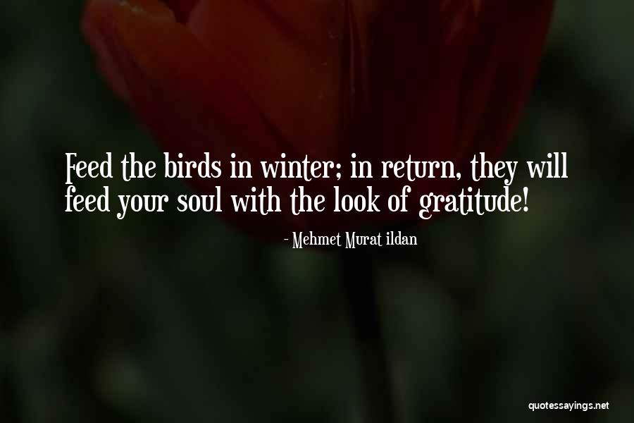Befandaft Quotes By Mehmet Murat Ildan Befandaft Quotes By Mehmet Murat Ildan