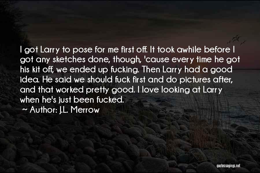 Before And After Pictures Quotes By J.L. Merrow