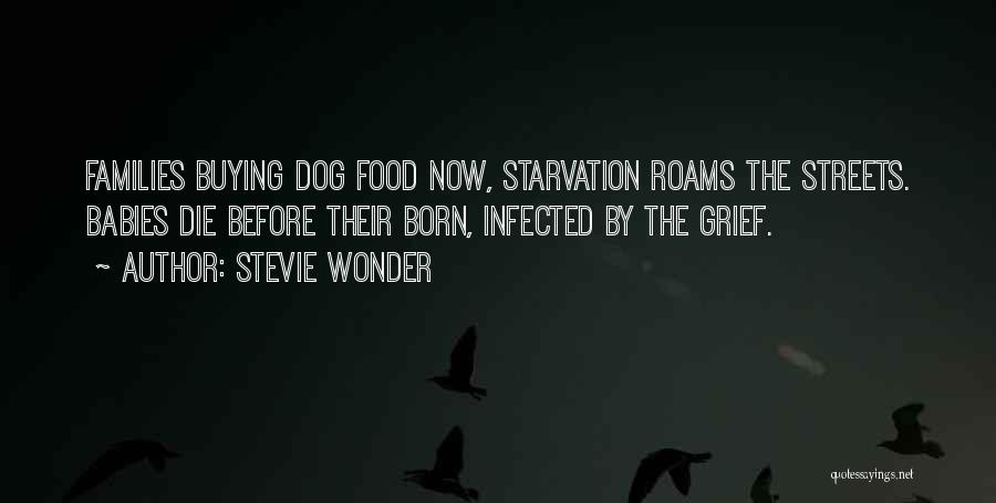 Before Baby Born Quotes By Stevie Wonder