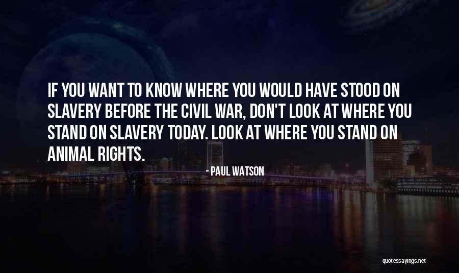 Before Civil War Quotes By Paul Watson Before Civil War Quotes By Paul Watson