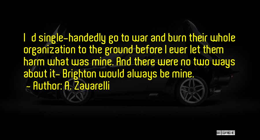 Before I Burn Quotes By A. Zavarelli