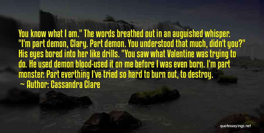 Before I Burn Quotes By Cassandra Clare