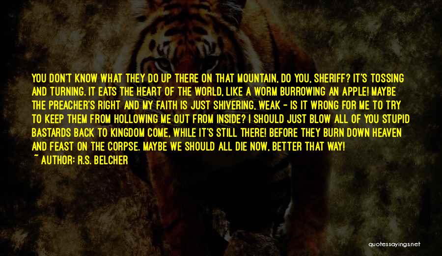 Before I Burn Quotes By R.S. Belcher